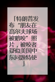 特朗普发布“朋友在高尔夫球场被鹅咬”照片，被咬者疑似美国中东问题特使